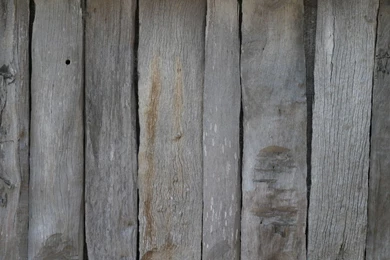 Rustic Wood Texture
