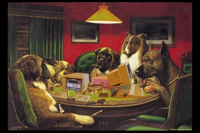 Dogs Playing Poker In Joliette » How To Win Money