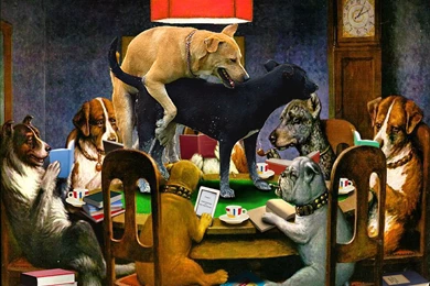 Poker Dogs » Win Cash