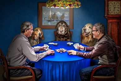 Playing Poker With Dogs Wallpapers And Images   Wallpapers ...