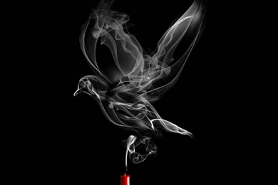 Wallpapers Smok Red Smoke X Bird Free 1280x1024