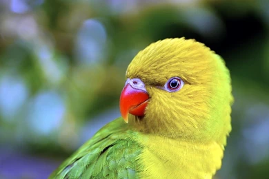 Full Hd Wallpapers Download 1080p Best HD Desktop Wallpapers 1080p ...