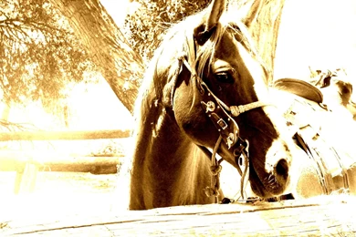 Old West Wallpapers   Wallpapers Cave