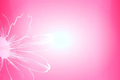 Pink Backgrounds Cool Wallpapers