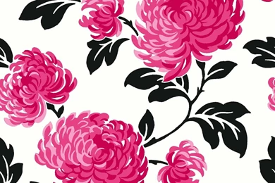 Pink Wallpapers 492   HD Wallpapers