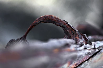 Wallpapers Psd Free Download 36329 HD Wallpapers