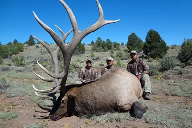 Wallpapers Buck Arizona Early Rifle Bull Elk Guides 1152x864 ...