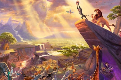 HD Great Lion King Wallpapers HD 1080p Full Size   HiReWallpapers 12761