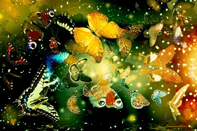 Computer Backgrounds CB007 – Wallpaperjosh