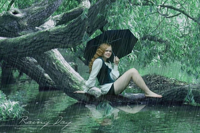 Rainy Day   (