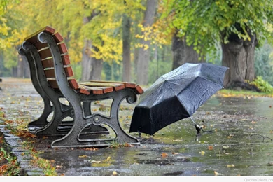 Autumn Rainy Days Quotes Wallpapers And Backgrounds