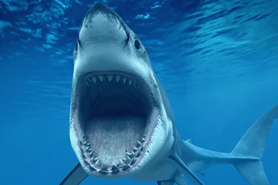 Ultra HD 4K Wallpapers High Definition 3752k   Wallpapers HD Fix