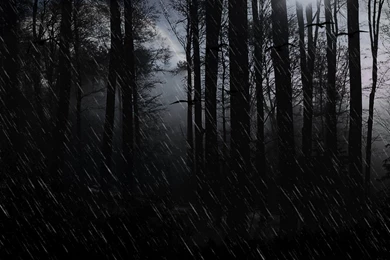Wallpapers Dark Evil X Rain Showers Forest Trees 1920x1080 ...