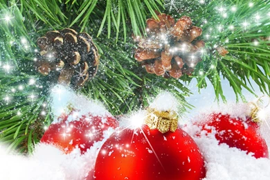 Winter Holiday Wallpapers