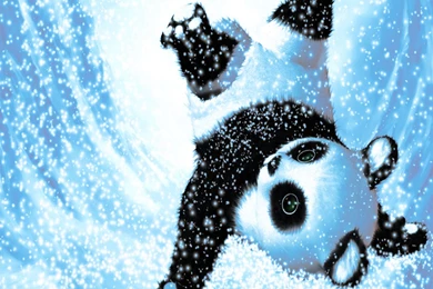 Cute Panda HD Wallpapers JA73