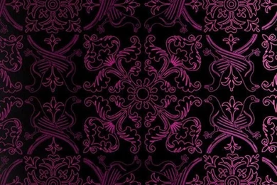 Pigeon Boheme, Fuchsia On Black Mylar   Artisanal Wallpapers From ...