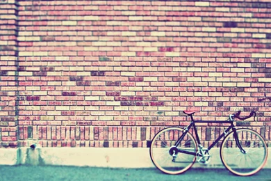 Download 2560x1600 Fixed Gear Bike By The Wall Wallpapers