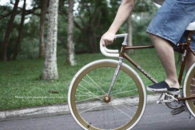 Fixed Gear Bernard By Calvin maksim On DeviantArt