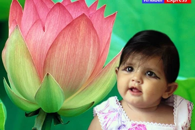 Beautiful Indian Babies   Babies Photo (10195569)   Fanpop