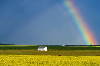 Best Rainbow On Nature Wallpapers HD