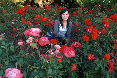 Gardens Wallpaper: Red Rose Garden Wallpaperimage Gallery Image ...