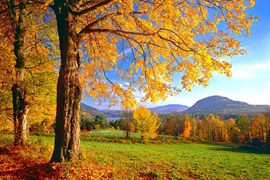 Colorful Vermont Wallpapers   (
