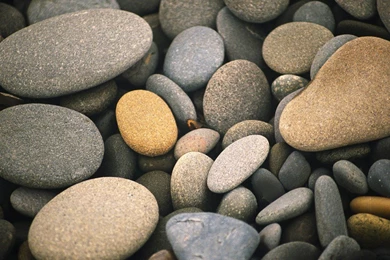 Wallpapers Samsung Galaxy Note Ie Users Need To Run This Gallery ...