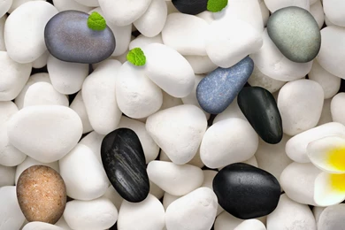 Cool Img Max: HD Wallpapers   Android, IOS, Windows Phone And ...