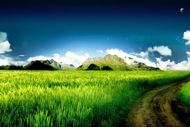 Fresh Atmosphere Computers Desktop Wallpapers 1440x900 Widescreen ...