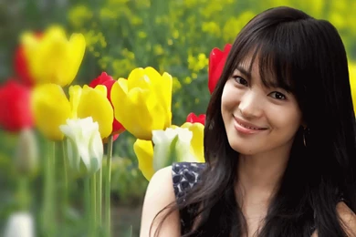 Song Hye Kyo HD Wallpapers Free Download