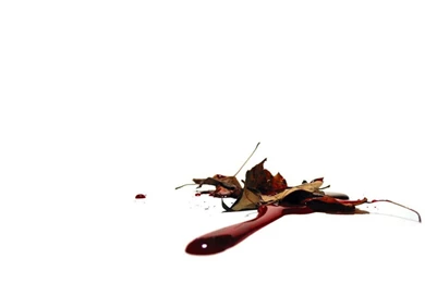 Free Fall Murder Wallpapers, Free Fall Murder HD Wallpapers, Fall ...