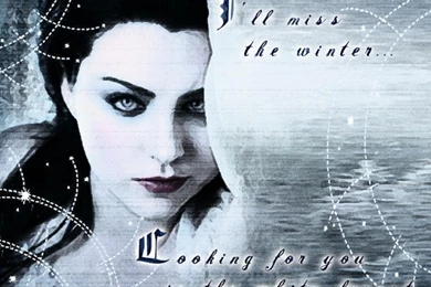 AMY LEE   Amy Lee Wallpapers (30904004)   Fanpop