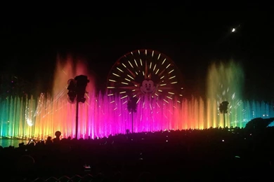 Fun Times At Disneyland's World Of Color Show