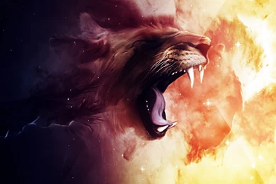 HD Lion Graphic Design 1920×1080 Wallpapers Full Size ...