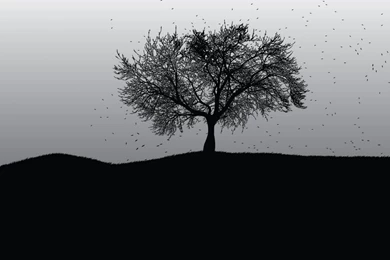 Black And White Graphic Wallpapers   Wallpapers High Definition