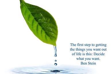 Hd Life Wallpapers For Desktop ~ Toptenpack.com