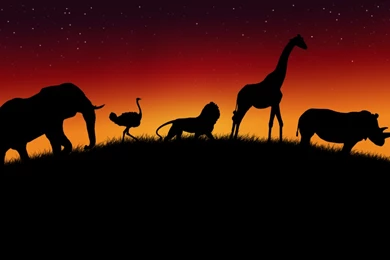 Africa Wallpapers