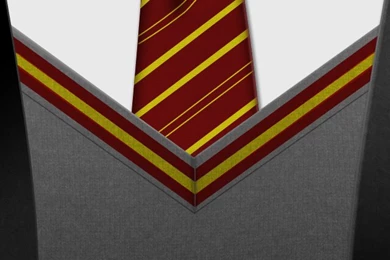 Harry Potter Gryffindor Tie iPhone Wallpapers / IPod Wallpapers HD ...