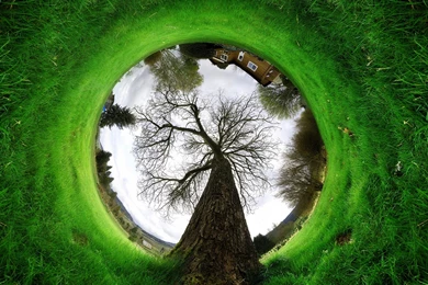 Nature Conservancy HD Wallpapers Widescreen 2560x1600