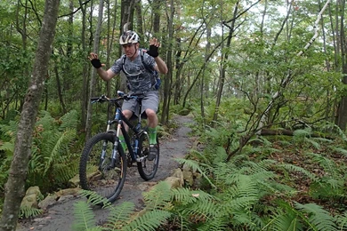 Nature Conservancy Wallpapers Weekend Labor Gallery Ursusvelo ...