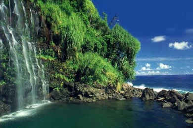 Desktop Nature Wallpaper: Amazing Nature Wallpaper, Nature ...