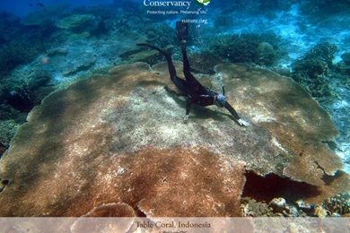 Photo Of The Month July2012