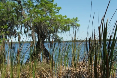 The Nature Conservancy CO