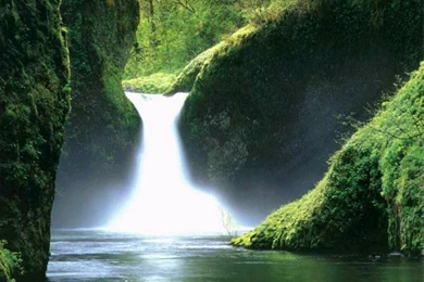 Desktop Nature Wallpaper: Amazing Nature Wallpaper, Nature ...