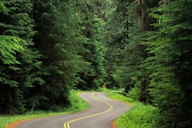 Nature Screensaver Pictures Wallpapers