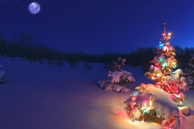 Merry Christmas 2015 Widescreen Wallpapers