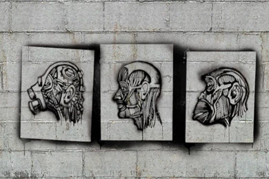 Valve Corporation Half life 2 Hl2 Wallpapers