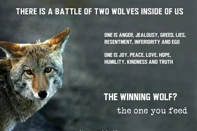 Cherokee Quotes On Life. QuotesGram