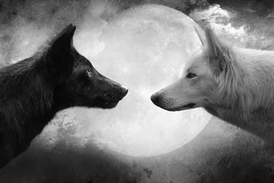 White Wolf : Two Wolves   Native American Legends (Video)
