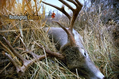 Lets See Your Hunting Desktop Backgrounds   Page 2   Georgia ...